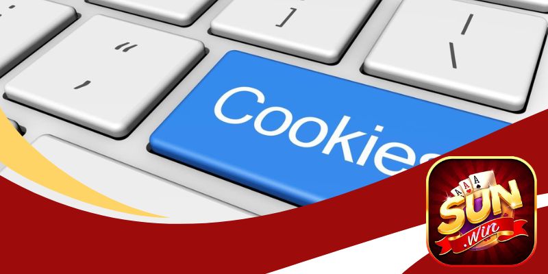 Giới thiệu chung về quy định quy định cookie tại nhà cái